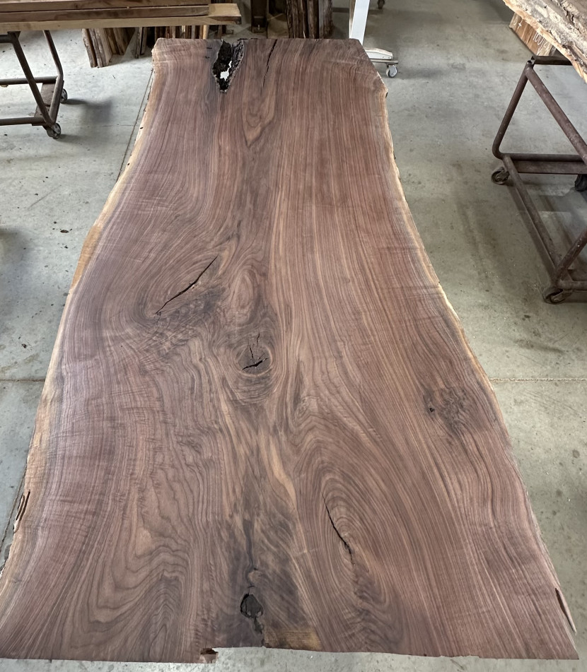 Black Walnut 