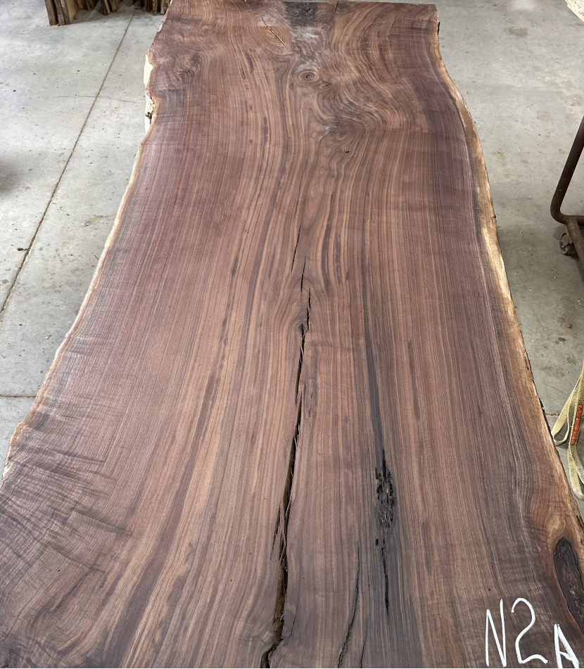 Black Walnut 