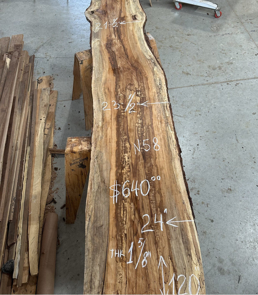 Pecan #58