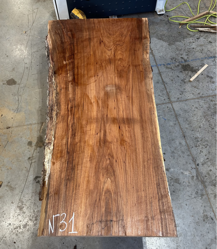Pecan #31