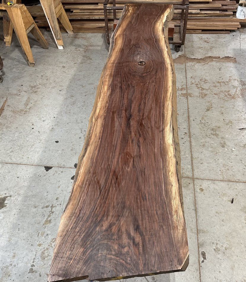 Black Walnut #38