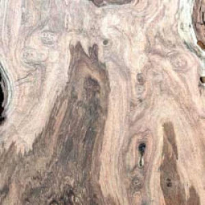Texas Pecan furniture